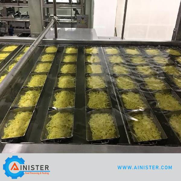 Special Design for Wet Pet Food Production Line - Frozen Cooked Noodles Production Line – Ainister