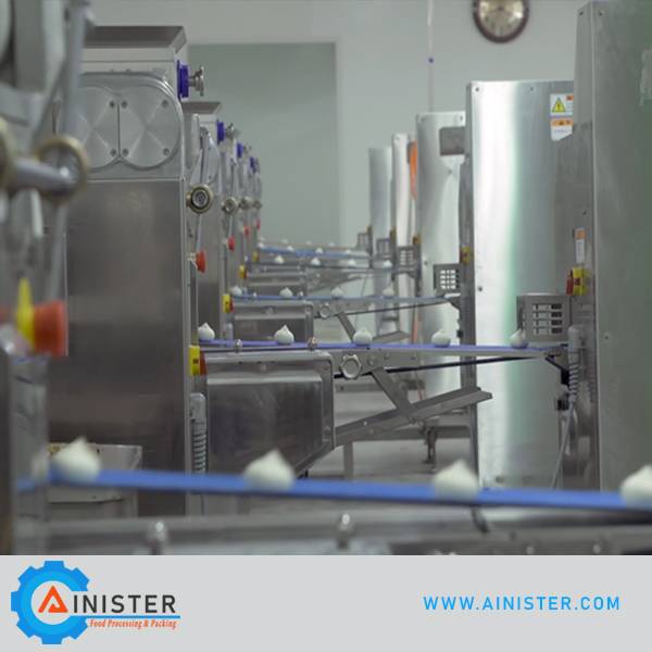 OEM Factory for Vegetable Cutter Scissor - Stuffed Bun/Baozi Production Line – Ainister
