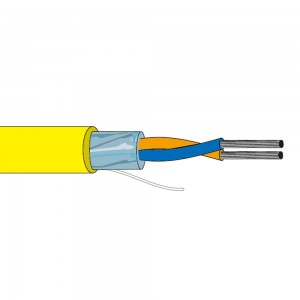 China New Product Armoured Control Cable - Foundation Fieldbus Type A Cable  – AIPU