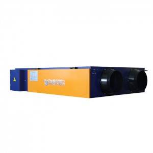 ERV Heat Recovery Ventilator with Purifier