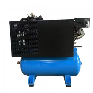 Gazolin Powered Air Compressor Z-0.6 / 12.5G: Modèl-wo kalite