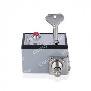 High Voltage Indoor Electromagnetic Lock for Switchgear AC220V
