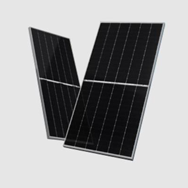 factory customized Solar Panel Manufacturing - 525-545W P-TYPE 72 HALF CELL BIFACIAL MODULE WITH TRANSPARENT BACKSHEET – ALife