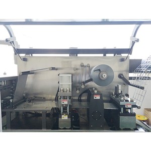 Automatic ODF Strip Pouch Packing Machine