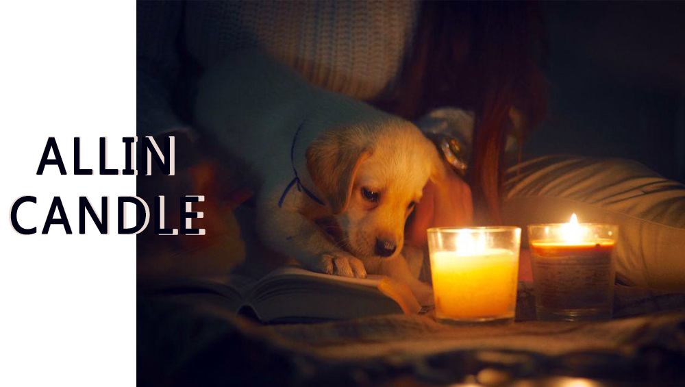 Čo by mal pes robiť, ak zje sviečku?Sú sviečky zlé pre psov?