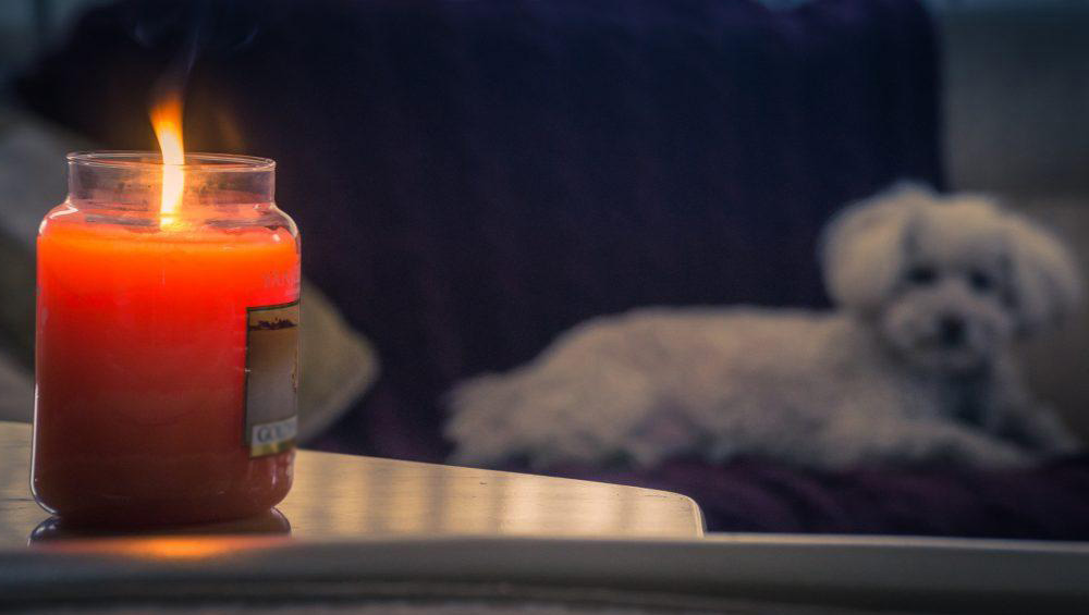 Дрвен фитил и памучен фитил: избор за љубителите на миризливи свеќи