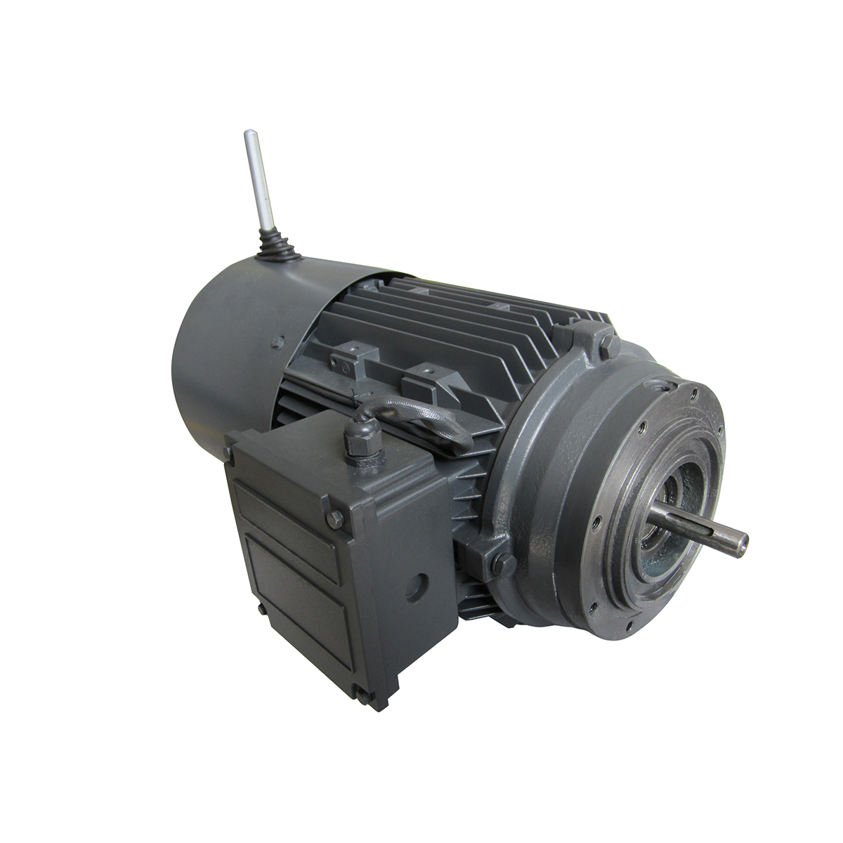 Low Voltage 3-Phase Asynchronous Motor with Demagnetizing Brake