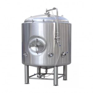 Chinese Professional 1000l Beer Brewing Equipment - Vertical Bright Beer Tank – Alston