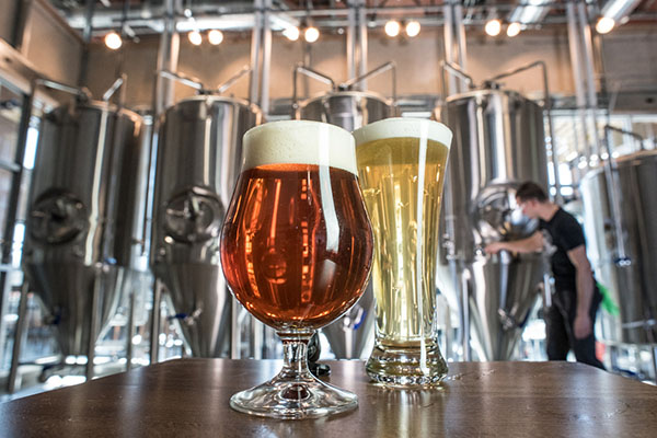 Entwicklung der Bierindustrie und Ausbau des Craft Beer