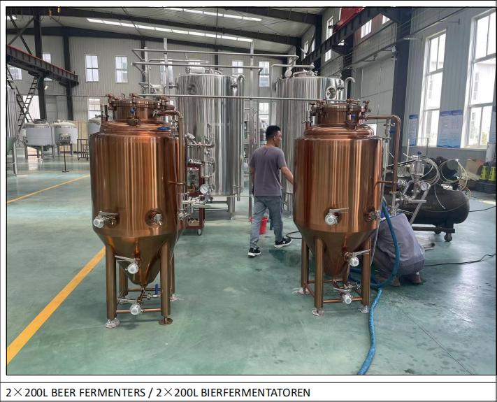 Serbatoio di birra personalizzato da 300 litri spedito in Germania