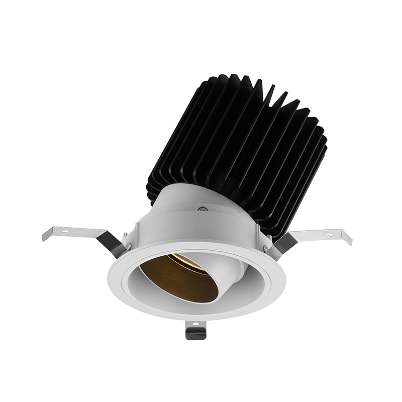 Chinese Professional Dimmable Led Downlights - Adjustable Trim Led Downlight AD10460 –  ALUDS