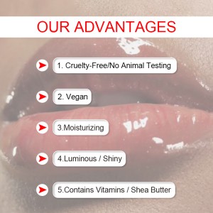 Nude lip gloss private label custom nude glossy lipgloss vegan and cruelty free nude lip glosses