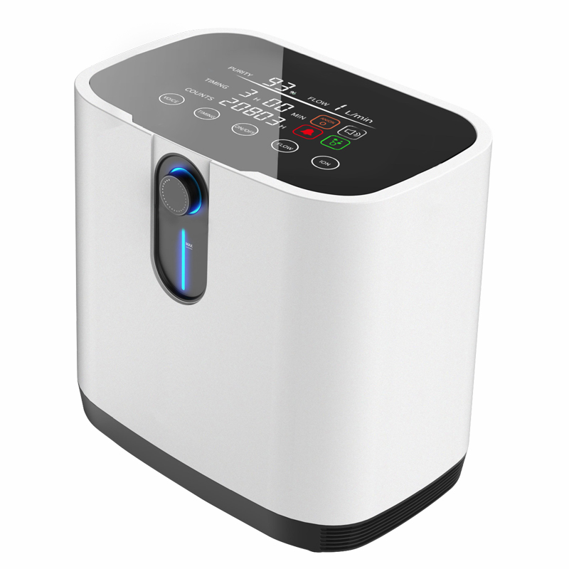 Big Discount Dedakj Concentrator - ZY-1FW Hot sale 1L Medical Household Portable 220v 380v 50 60hz oxygen generator for breathing – yameina