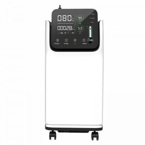 ZY-5AW Factory Direct Supply Quality Guaranteed 5 L Room medical oxygen generation system
