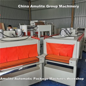 Wholesale Discount Double Roll Crusher - Automatic Package Machines Workshop – Amulite
