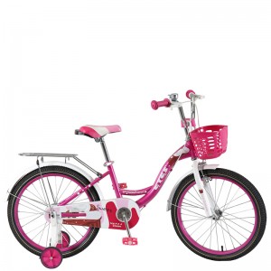 20 Inch girl bike children bicycle/23WN046-20”