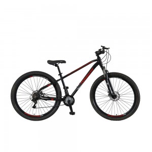 29 Inch Suspension Mountain Bike, Adults Men and Women, 21 Speed
