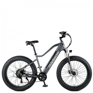 Electric fat Bike for Adults with Removable 48 V Battery/23WN095-E26” 7S