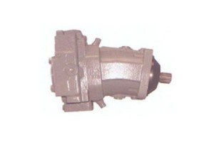 Discountable price Flanged Shaft - Hydraulic Pump – ANCHOR
