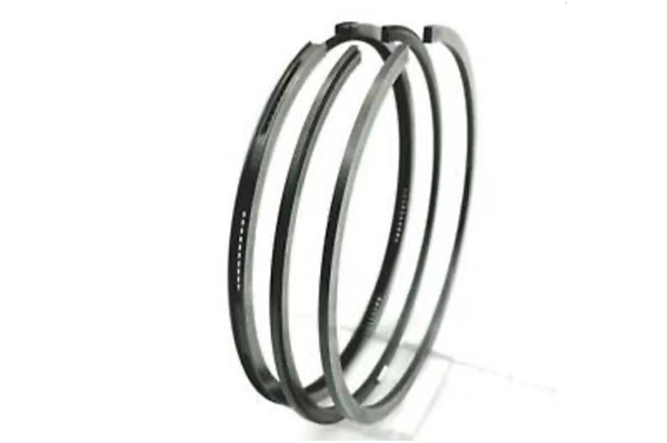 Discountable price Flanged Shaft - Schwing Piston Ring – ANCHOR