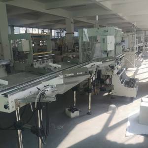 ADP-P650 Paper Cup Packing Machine