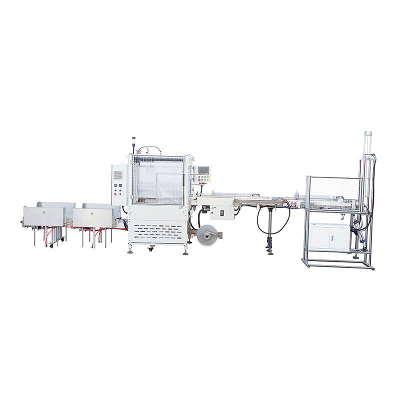 ADP-P650 Paper Cup Packing Machine Featured Image