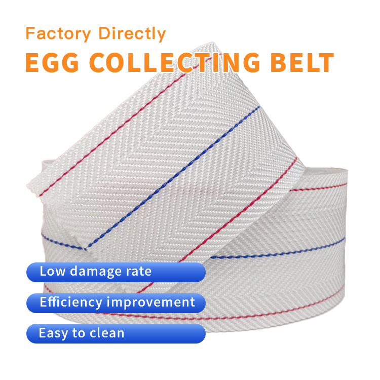 Poultry Egg Conveyor Belt For Automatic Egg Collection: Boost Profit & Transform Your Farm