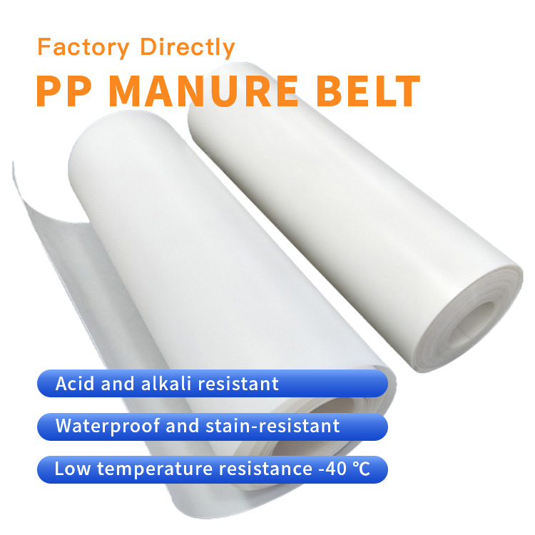 Recommended International Manufacturers for Manure Conveyor Belts