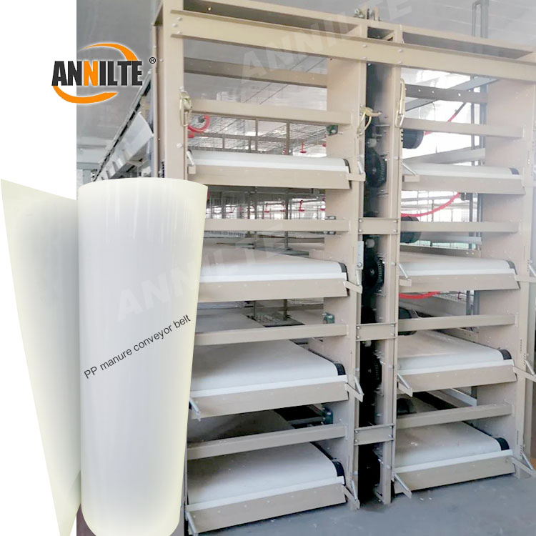 PP Poultry Manure Conveyor Belt: Engineered for Efficient, Durable Manure Handling