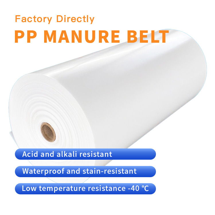 Annilte PP Manure Belt: Efficient Solution for Poultry Farm Waste Management