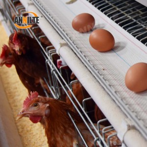 Annilte 4 inch PP Woven Egg Conveyor Belt Polypropylene Belt For Chicken Farm Cages
