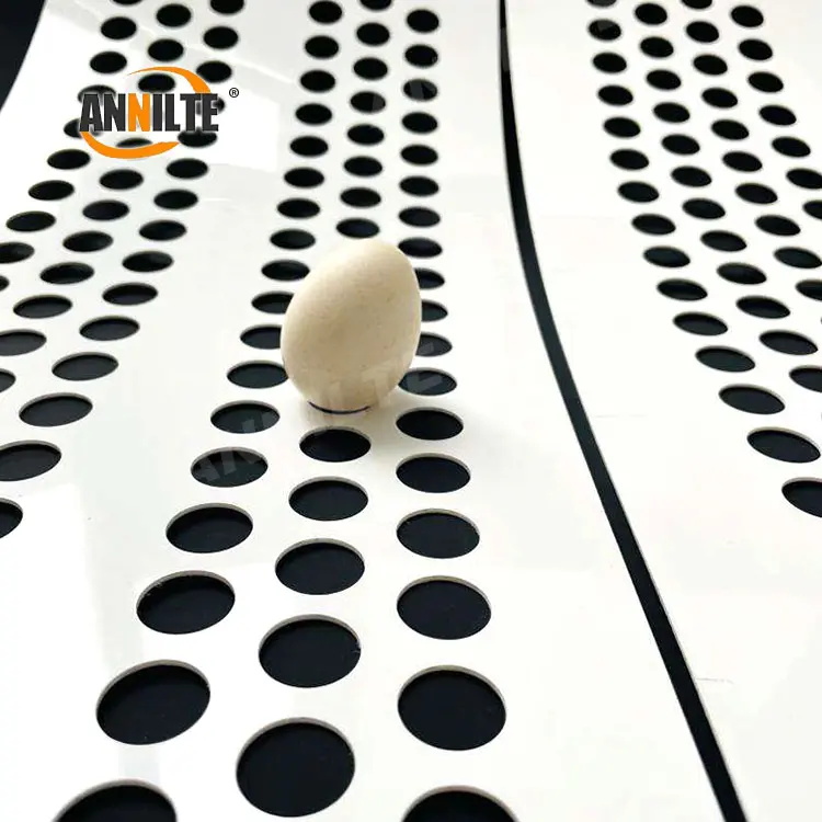 Advantages of perforated egg conveyor belts?