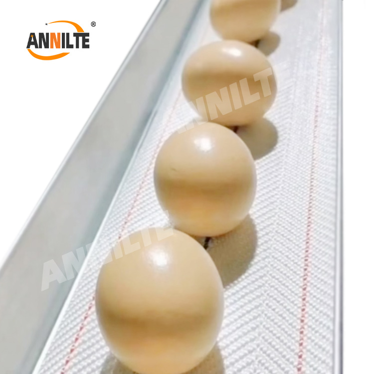 Why choose Annilte egg collection belts?