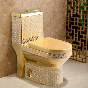 Chinese wholesale Wall Hung Toilet - Gold plated toilet bowl – Anyi