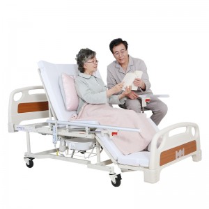 Aofeite Elderly Patient Multi-Function Nursing Hospital Bed