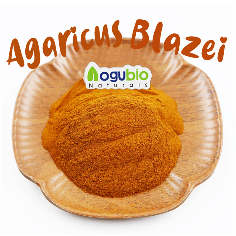 نامياتي Agaricus Blazei پائوڊر بلڪ غير GMO، گلوٽين مفت