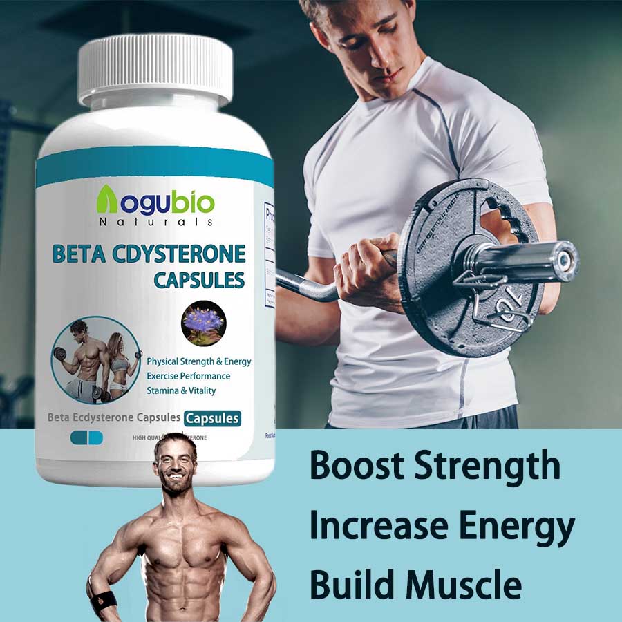 Achieve Your Fitness Goals with the Help of Beta Ecdysterone Capsules