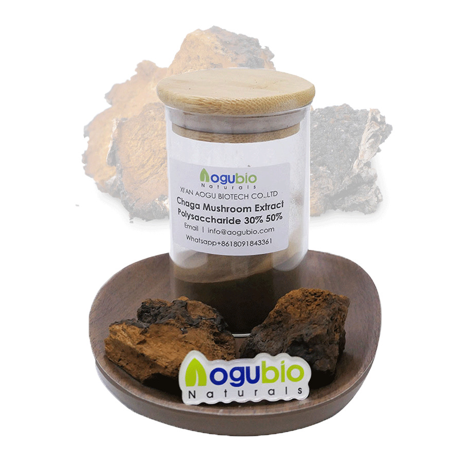 I-USDA Organic Wild Chaga Mushroom Extract Powder