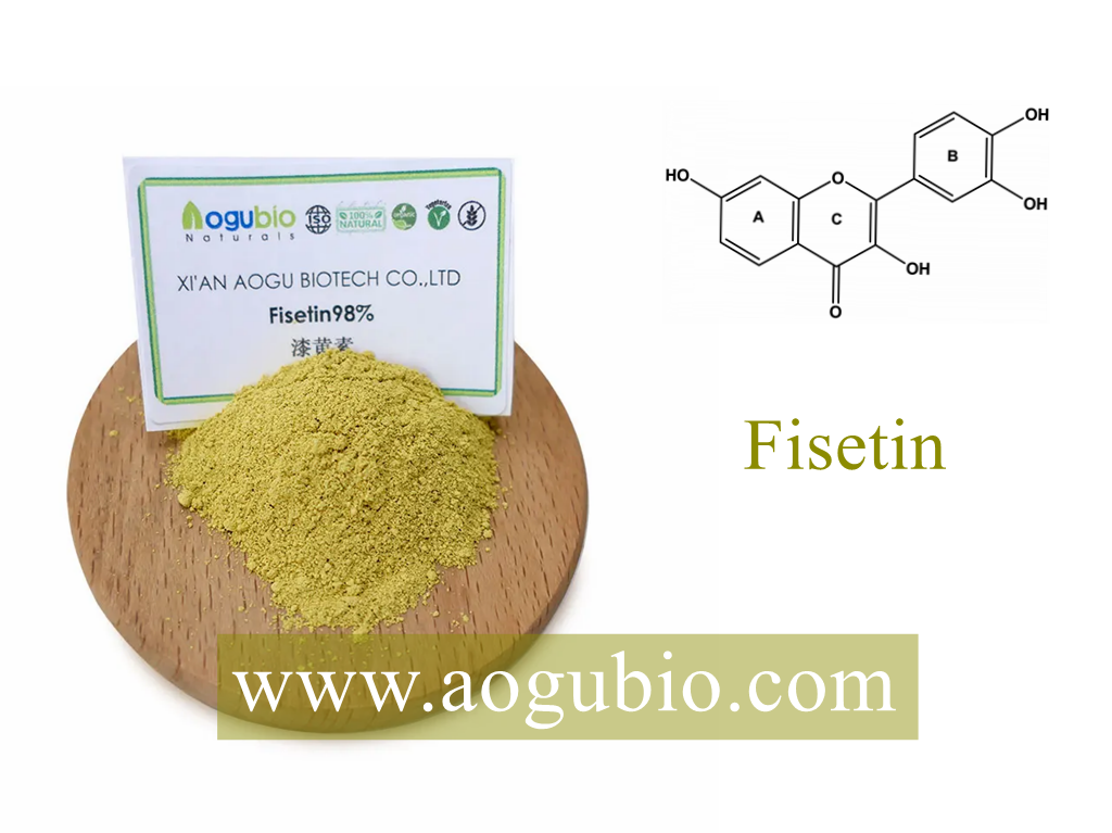 Snažni zdravstveni efekti fisetina, prednosti ekstrakta stabljike Oofinus Coggygria