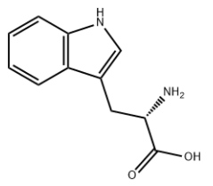 AOGUBIO Essential Aminoazido L-triptofano hautsa L-triptofano kapsulen osagarria