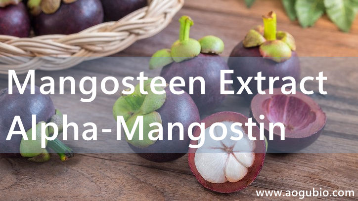 The Incredible Benefits of Mangosteen Extract and Alpha-Mangostin: A How-to Guide for Usage