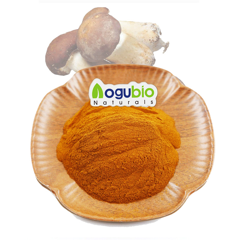Organic Agaricus blazei powder