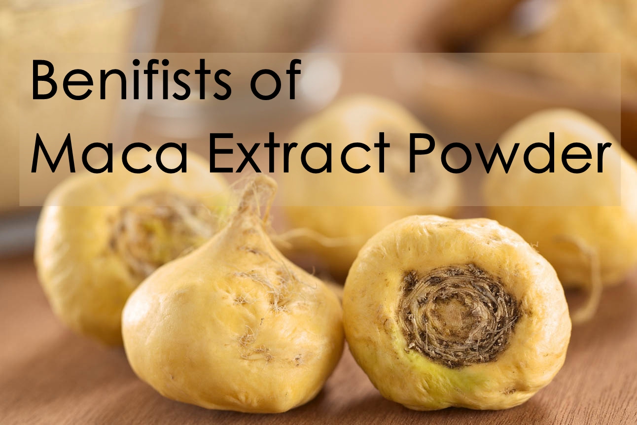 What is Maca?