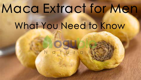 Maca Extract for Men: What You Need to Know
