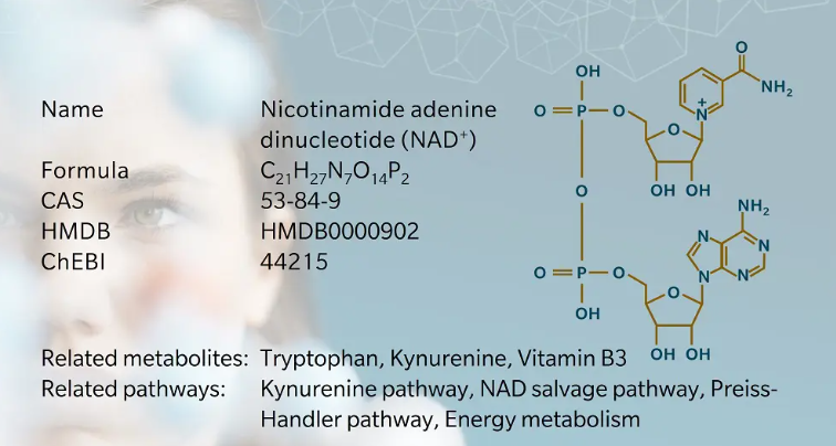 Какво представлява никотинамид аденин динуклеотид?