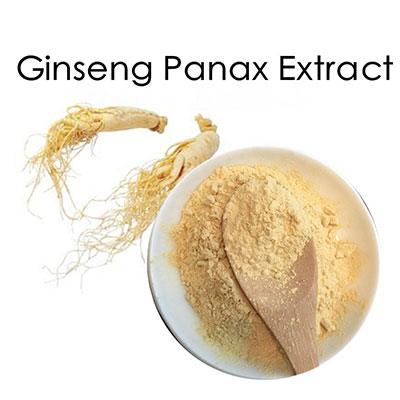 100% सेंद्रिय Panax Ginseng लीफ अर्क