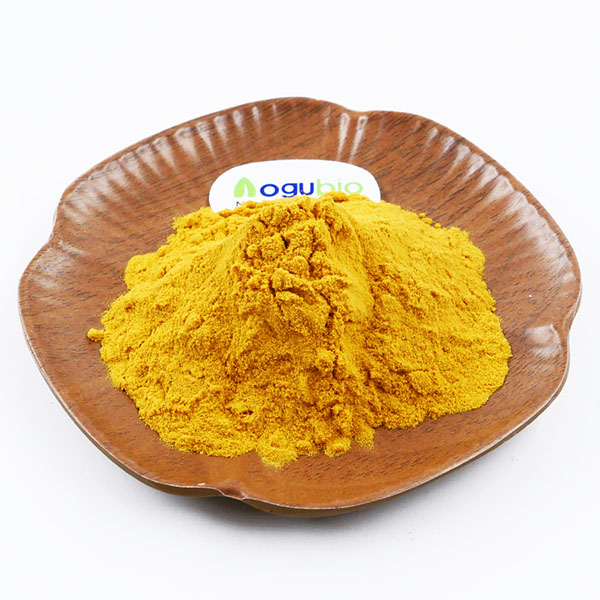 healthy organic Buchu Leaf Extract powder