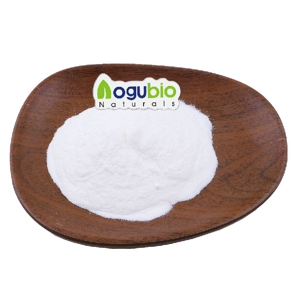 Manufacturer Supply Food Grade Additive Xylanase Enzyme Powder