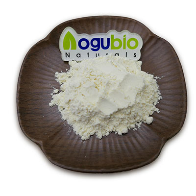 100% Pure Natural Gotu Kola Extract Powder Featured Image