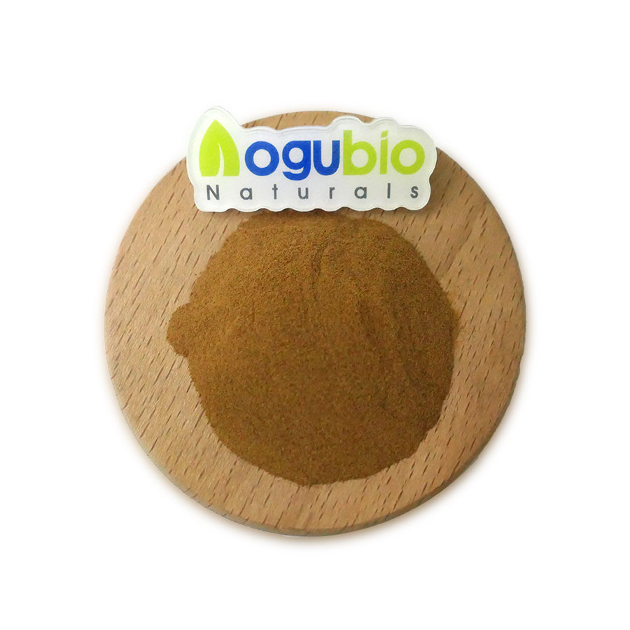 Mýdlový prášek z kůry biopotravin Extrakt z Quillaja Saponaria
